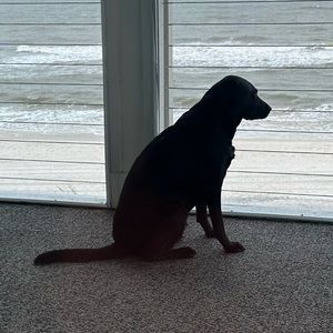 Meet your Posher, Jane